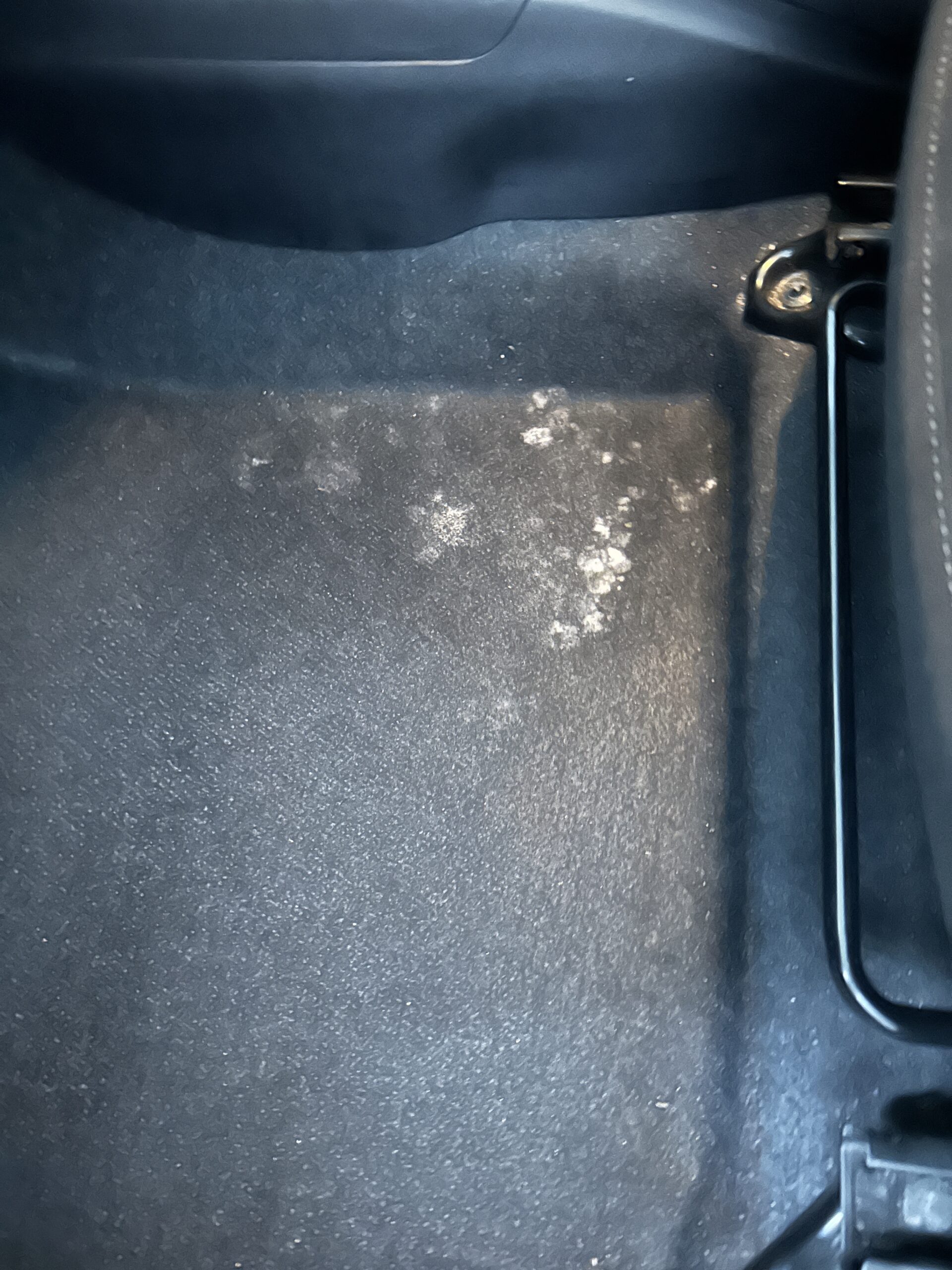 　マット下カビ汚れ