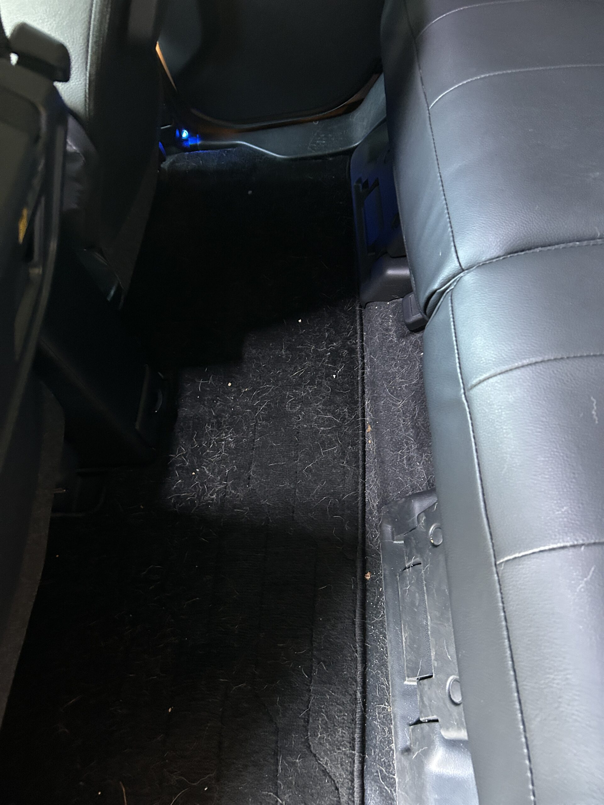 マットのペットの毛