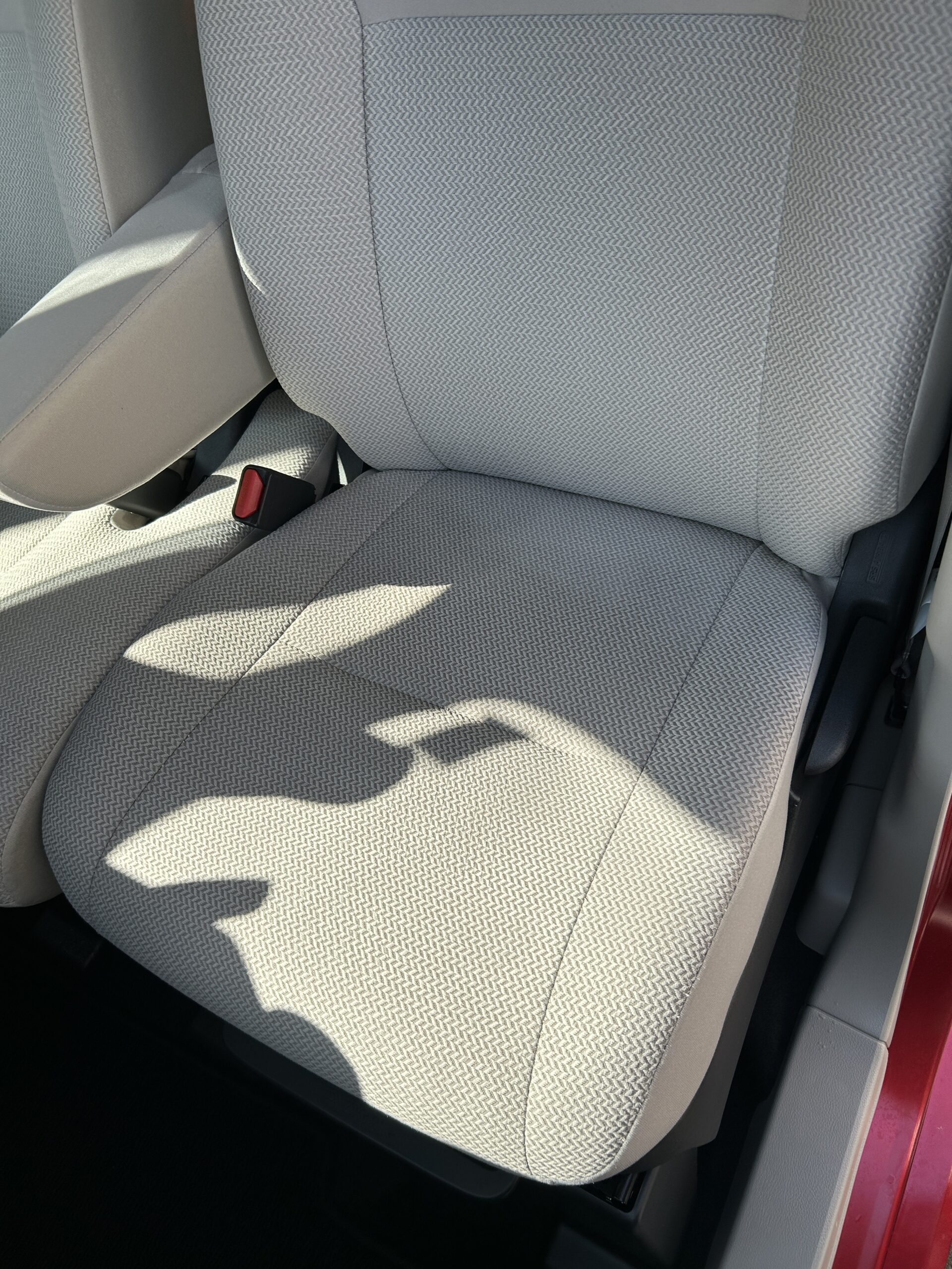 車内清掃　半田市　I様　